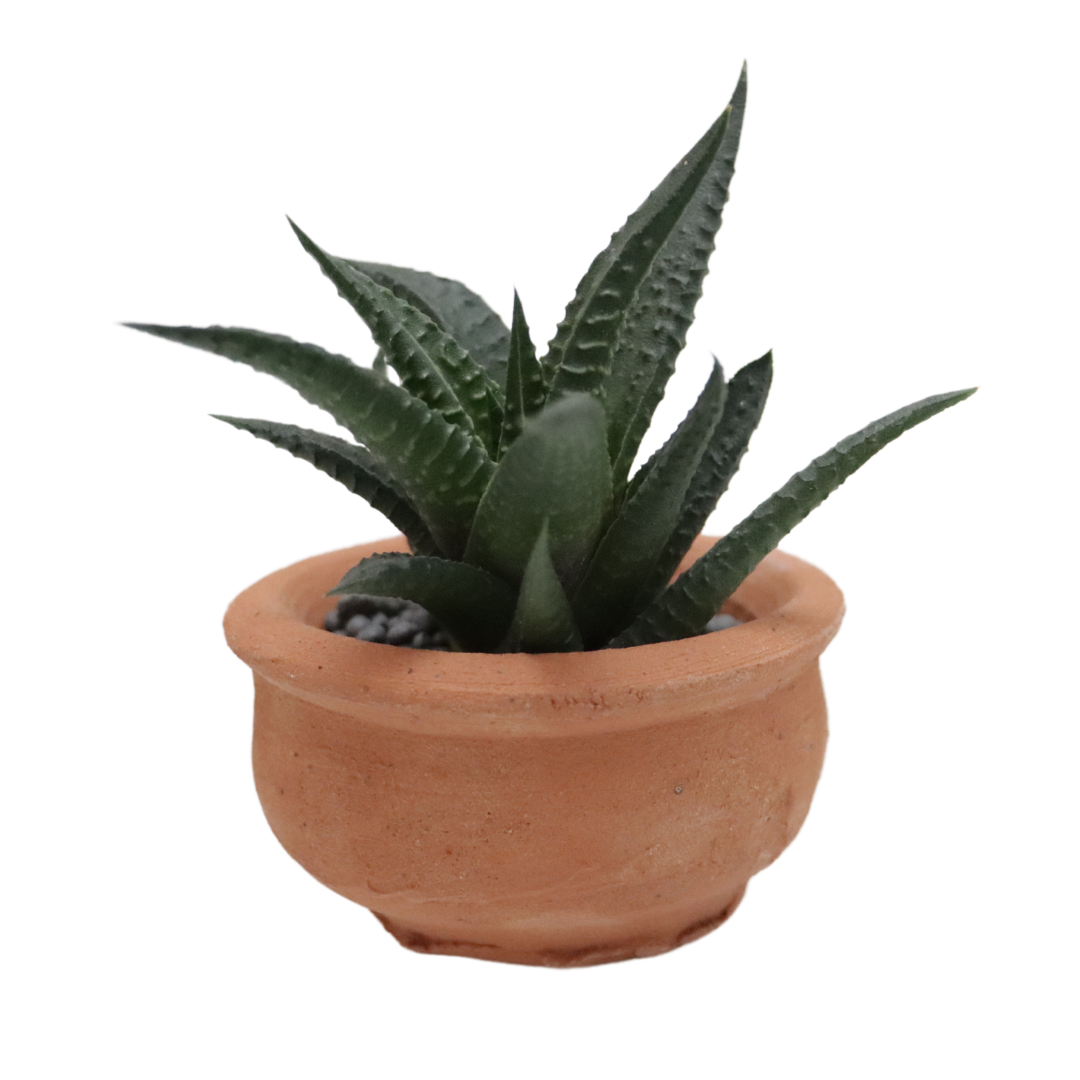 Handcrafted 3 cm Mini Terracotta Pot ๐ฟ | Unique Decor Piece for Small Spaces