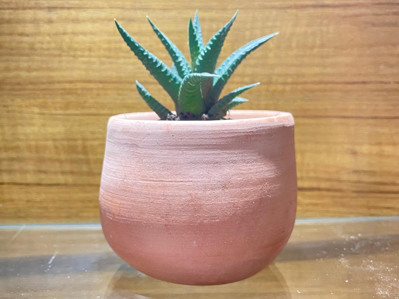 🌿 One-of-a-Kind Handcrafted Terracotta Pot | 6.8cm | Unique Wheel-Thrown Piece